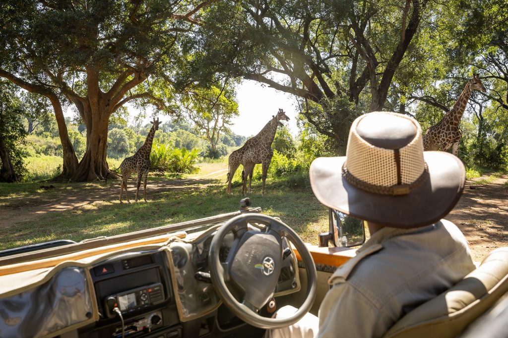 GAME DRIVES